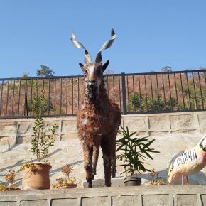 The AIMS Kids Play Area