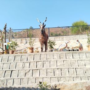 The AIMS Kids Play Area