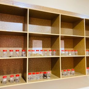 Science Labs Bio Lab