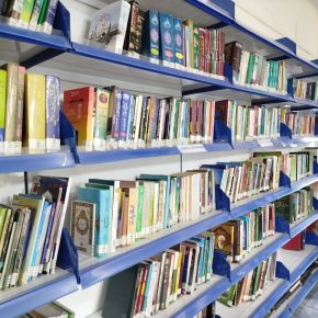 The AIMS Library